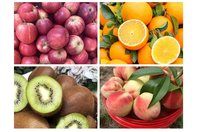 Ps Hoge Productiviteit Roestvrijstalen Fruitmachine Schiller Ontpitter Snijder 220V 500W