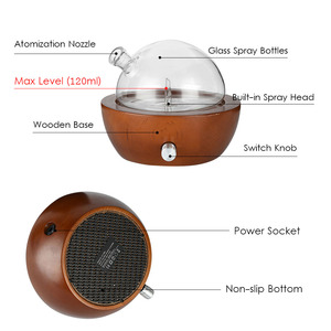 Mỹ Sản phẩm mới hương liệu tinh dầu khuếch tán không dùng nước thủy tinh Máy phun sương khuếch tán - Product Image 2