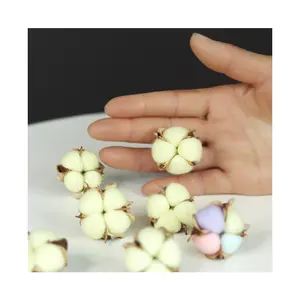 High Quality Colorful White Cotton Blossom Decor Natural Mini Dried Cotton Flowers Valentine's Day Mother's Day Thanksgiving