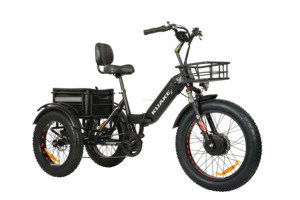 Changzhou 3 ruedas <span class=keywords><strong>Bosch</strong></span> motor ocultar batería inversa triciclos etrike marco eléctrico cargo bicicleta ciudad bicicleta <span class=keywords><strong>para</strong></span> familia saliente - Product Image 6