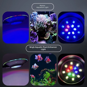 Lampe à clipser pour <span class=keywords><strong>aquarium</strong></span> JSD 5W WRGB, 12,4 pouces, flexible, USB, avec télécommande et minuterie, changement <span class=keywords><strong>de</strong></span> couleur RGB pour <span class=keywords><strong>aquarium</strong></span> <span class=keywords><strong>de</strong></span> poissons Betta - Product Image 4