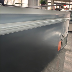 Congélateur Vitrine Horizontale Combinée pour Supermarché, Type Îlot, Haute Efficacité, Durable, pour Viandes et Aliments, avec Compartiment Profond et Petite Fenêtre - Product Image 6