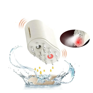 Brosse à huile essentielle atomisée nano, masseur du cuir chevelu à lumière rouge EMS, applicateur d'huile capillaire électrique pour le traitement de la perte de cheveux - Product Image 1