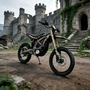 <span class=keywords><strong>Moto</strong></span> tout-terrain électrique Ultra Bee Surron 21KW personnalisée, <span class=keywords><strong>prix</strong></span> de gros, <span class=keywords><strong>moto</strong></span> tout-terrain électrique - Product Image 6