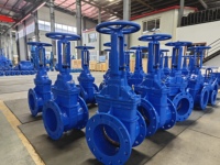 DIN standar DN150 PN16 katup gerbang 6 inci besi cor naik katup batang segel lembut kursi Flange terhubung pipa air katup gerbang