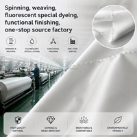 Ultradünner 20D300-450T Polyester-Nylon-Taft-Stoff Wasserdicht UV-Schutz Daunendicht Kalanderisierter Jacquard-Futterstoff LOGO-Fabrik
