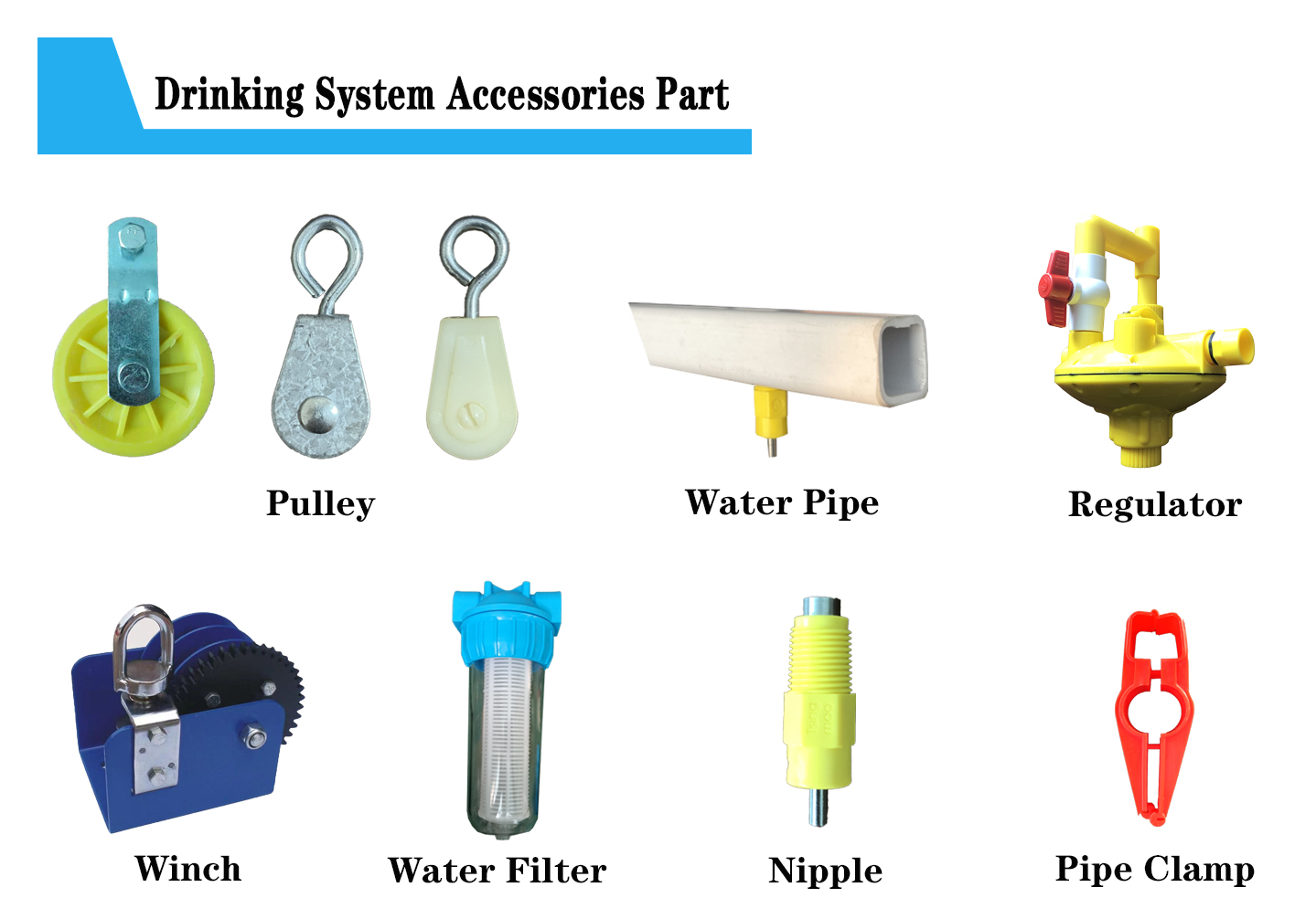 CE Certification auto feeding system For Chicken Farm And Poultry Farm