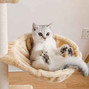 Structure d'escalade pour <span class=keywords><strong>chat</strong></span> en sisal intégrée, couleur unie <span class=keywords><strong>simple</strong></span>, avec panier et jouet pour animaux de compagnie - Product Image 3