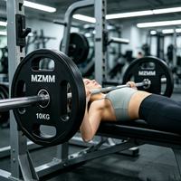 Plaques de poids réglables de qualité commerciale à quatre trous avec noyau en acier et revêtement en caoutchouc inodore, portables pour les clubs de fitness