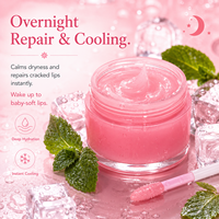 Prix Usine Masque de Nuit Coréen pour les Lèvres Élimine les Peaux Mortes Atténue les Rides Prévient la Sécheresse Gel de Soin des Lèvres