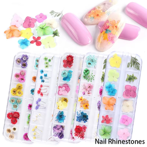 12 Rejilla <span class=keywords><strong>en</strong></span> caja Primavera Verano Estilo 3D Nail Sticker Decoraciones Hoja pequeña Flor seca Prensada <span class=keywords><strong>en</strong></span> Nail Art Charm - Product Image 1
