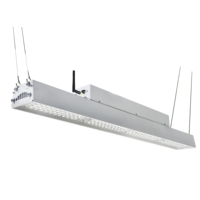 Lampe de culture LED économique, nouvelle lampe LED de toit pour serre, spectre complet, haute PPFD 520W LM301, mince, pour horticulture