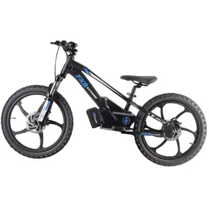 OEM 인기 20 인치 키즈 Ebike, 어린이용 어린이 전기 균형 자전거, 어린이용 전기 자전거