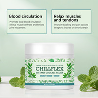 Crème de soulagement musculaire et articulaire CHILLFLEX à base de plantes, de haute qualité, personnalisée, fraîche, apaisante, douce et confortable