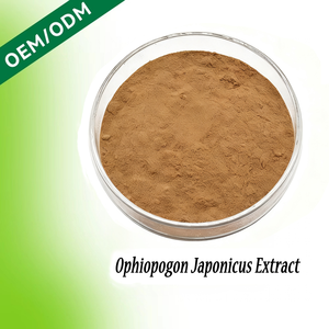 Extracto de Ophiopogon Japonicus HDK, Polisacáridos Mai Men Dong, Polvo de Hierbas para la Salud Pulmonar, Suministro a Granel - Product Image 1