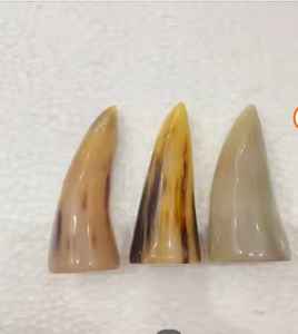 Ox Horn Natural Buffalo Horn <b>Toggles</b> <b>Buttons</b> for Sales Authentic Handmade Polished Jackets and Sweaters blazer & clothing - Product Image 2