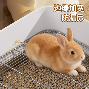 Toilette pour lapin en acier inoxydable, double couche, rectangulaire, facile à nettoyer avec pelle - Product Image 3