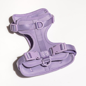 Harnais pour chien personnalisé, écologique, de luxe, en néoprène, anti-traction, imperméable, design de créateur - Product Image 1