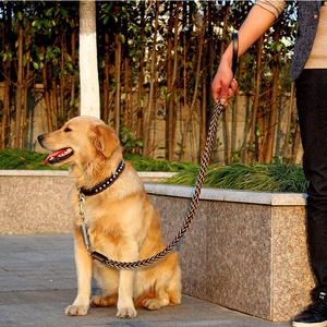 Ensemble de collier et laisse de <span class=keywords><strong>chien</strong></span> réfléchissant plus léger rembourré avec des colliers de <span class=keywords><strong>chien</strong></span> en cuir réglables respirants doux pour l'entraînement - Product Image 6
