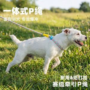 Correa para perros tipo P de una pieza, anti-nudos, duradera, para entrenamiento de perros pequeños - Product Image 3