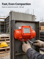 Vibrateur à béton externe électrique ZF-T4/80, 3 phases, 0,094 kW, 1750 tr/min, 80 kgf, IP65, CE, avec force réglable