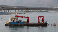 Grue de pont marine haute performance certifiée ABS Watsond CCS pour navires de recherche océanique et bateaux de patrouille