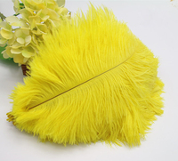 Plumes d'autruche teintées de 25-30 cm, fourniture d'usine, fournitures de décoration pour coiffes de mariage DIY, bouquets muraux