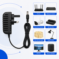 Maßgefertigte Großhandels-5,5x2,1mm DC-Stecker WSZ-2410 US EU UK AU Stecker 24V 1A 24W Netzadapter für Smart-Lautsprecher und Audio