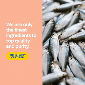 น้ำมัน<span class=keywords><strong>ปลา</strong></span> RxOmega-<span class=keywords><strong>3</strong></span>ที่แข็งแรงเป็นพิเศษแคปซูลแบบนิ่ม2150มก. <span class=keywords><strong>โอ</strong></span><span class=keywords><strong>เม</strong></span><span class=keywords><strong>ก้า</strong></span><span class=keywords><strong>3</strong></span>ต่อการให้บริการสนับสนุนสุขภาพหัวใจส่งเสริมสุขภาพของสมองและวิสัยทัศน์ - Product Image 5