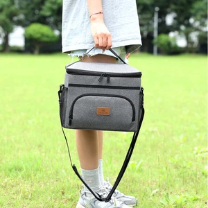 Frische Insulated Cooler Bag 5 Inch Polyester Foldable Picnic All Seasons Use - Product Image 2