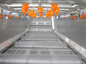 Máquina de Limpieza de Frutas y Verduras con Burbujas, Totalmente Automática y Eléctrica, con Motor como Componente Principal para el Lavado de Vegetales - Product Image 6