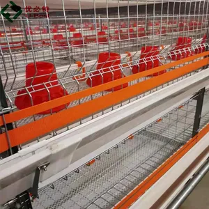 Automatischer Hühner käfig für Broiler und Baby küken Broiler käfig Broiler Batterie käfig zum Verkauf