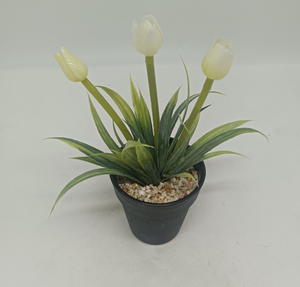 <span class=keywords><strong>Cactus</strong></span> artificiel fleuri en plastique durable et écologique Longstar <span class=keywords><strong>pour</strong></span> la décoration de bureau, de chambre et de festivals en plein air - Product Image 4