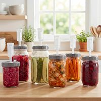 Kit de Fermentation JG JGK04 pour Bocal Mason à Large Ouverture, Corps en Verre Sodocalcique de Qualité Alimentaire, Bouchon en Plastique, Sceau d'Air en Silicone, pour la Fermentation du Chou Ferme et la Mise en Conserve
