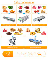 Fabrieks productie fruit sorteermachine kersen/sinaasappel/peer/jujube/knoflook sorteermachine dadelpalm sorteermachine