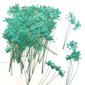 Fleurs séchées pressées en vrac, multi-têtes, couleurs mélangées, directement de l'usine, pour invitations de mariage, scrapbooking et artisanat - Product Image 6