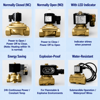 Vanne solénoïde étanche IP65 2W160-15D.1/2" AC220V, bobine encapsulée, vanne à eau en laiton résistante à la corrosion PN10