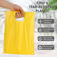 Sacs de courses en plastique bleu ciel avec poignées 250g 500g, sacs découpés pour vêtements, cosmétiques, épicerie, usage professionnel pour petites entreprises