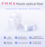 Câble de Fibre Optique PMMA 0,25 mm 0,75 mm 3 mm avec Éclairage à Extrémité pour Kit de Plafond Étoilé LED, Matériau du Corps de Lampe en Plastique