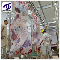 Chaîne de Découpe Automatique Complète pour Bovins avec Plateau Tournant, Élévateur et Scie à Poitrines pour Abattoir Moderne Certifié Halal