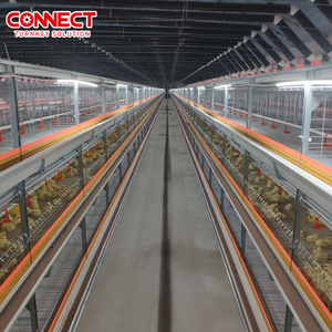 Dự Án Gà Thịt chìa khóa trao tay lớn 10 triệu gia cầm pin thức ăn gà trống thiết bị trang trại gà thịt tự động hệ thống lồng gà - Product Image 2