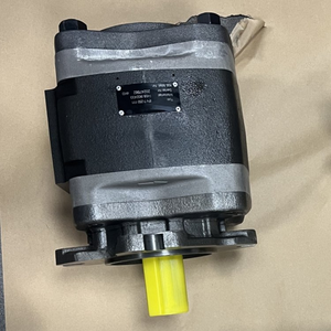 Bomba de Engranajes Internos Hidráulica Serie IPV3 IPV4 IPV5 IPV6 IPV7, Bombas IPV7-160 151 IPV7-250 111, Construcción de Hierro Fundido de Alta Calidad - Product Image 6