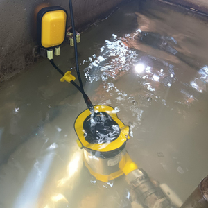 Bomba Sumergible Inoxidable de 850W y 15000L/h para Agua Limpia y Sucia con Interruptor de Flotador, Drenaje de Inundaciones, Estanque de Jardín TP01651 - Product Image 6