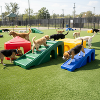 Equipo de Juego Modular Profesional para Perros, Túnel de Agilidad para Entrenamiento en Exteriores