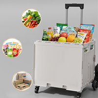 Caisse de rangement roulante ergonomique et écologique en plastique PP durable avec poignée télescopique et design pliable, capacité 45/65L pour vêtements