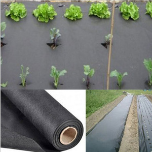 Thoáng khí nông nghiệp không dệt vải <span class=keywords><strong>PP</strong></span> không dệt mulch & Weed Mat thoáng khí Fleece Bìa cắt-to-kích THƯỚC VẼ nhựa đúc - Product Image 4