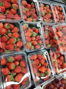 300g tùy chỉnh nhựa Rau Trái Cây <span class=keywords><strong>container</strong></span> với nắp đậy trái cây bao bì hộp cho Cherry cà chua - Product Image 5