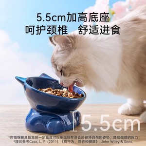 Bol en céramique surélevé pour chat avec support incliné pour le cou - Product Image 3