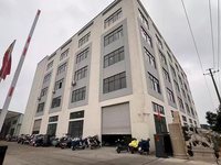 Shorts d'été rayés amples et décontractés pour hommes européens et américains – Short court polyvalent de marque tendance