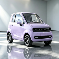 Voiture électrique urbaine homologuée en Europe avec certification EEC COC CE, carrosserie compacte, maniabilité et stationnement faciles en zone urbaine